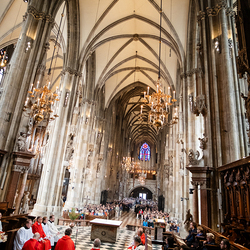 2025 Palmsonntag / Erzdiözese Wien/ Schönlaub, Stephan Schönlaub
