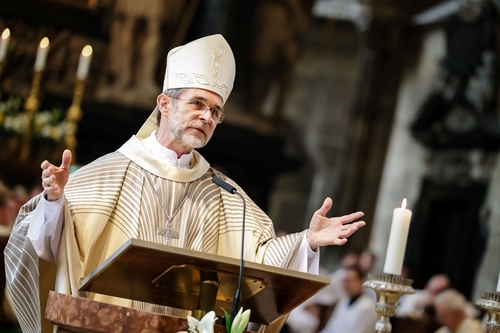 Predigt zur Priesterweihe im Stephansdom im Juni 2026 / Erzdiözese Wien/Stephan Schönlaub Predigt zur Priesterweihe im Stephansdom im Juni 2026