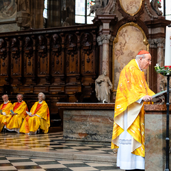 Priesterjubiläen / Erzdiözese Wien/Schönlaub