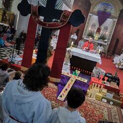 Palmsonntag Pfarre Heilige Mutter Teresa / Erzdiözese Wien/Feuchtner