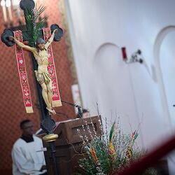 Palmsonntag Pfarre Heilige Mutter Teresa / Erzdiözese Wien/Feuchtner