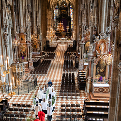 2025 Palmsonntag / Erzdiözese Wien/ Schönlaub, Stephan Schönlaub