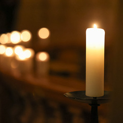 © Katharina Schiffl / Katharina Schiffl