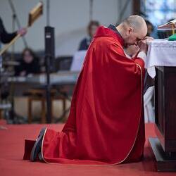 Palmsonntag Pfarre Heilige Mutter Teresa / Erzdiözese Wien/Feuchtner