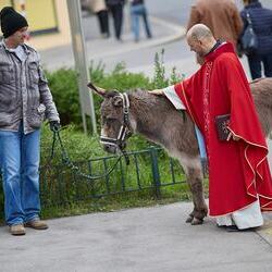 Palmsonntag Pfarre Heilige Mutter Teresa / Erzdiözese Wien/Feuchtner