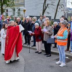 Palmsonntag Pfarre Heilige Mutter Teresa / Erzdiözese Wien/Feuchtner