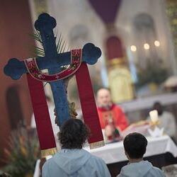 Palmsonntag Pfarre Heilige Mutter Teresa / Erzdiözese Wien/Feuchtner