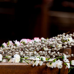 2025 Palmsonntag / Erzdiözese Wien/ Schönlaub, Stephan Schönlaub
