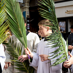 2025 Palmsonntag / Erzdiözese Wien/ Schönlaub, Stephan Schönlaub