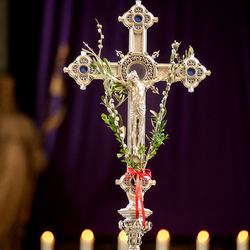 2025 Palmsonntag / Erzdiözese Wien/ Schönlaub, Stephan Schönlaub