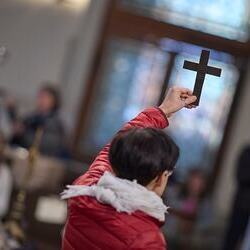 Palmsonntag Pfarre Heilige Mutter Teresa / Erzdiözese Wien/Feuchtner