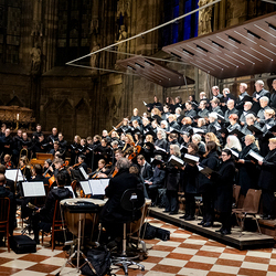 Allerseelen Requiem im Stephansdom