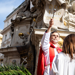 2025 Palmsonntag / Erzdiözese Wien/ Schönlaub, Stephan Schönlaub